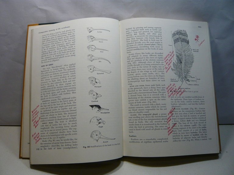 George Kent,COMPARATIVE ANATOMY OF THE VERTEBRATES,1965[anatomia