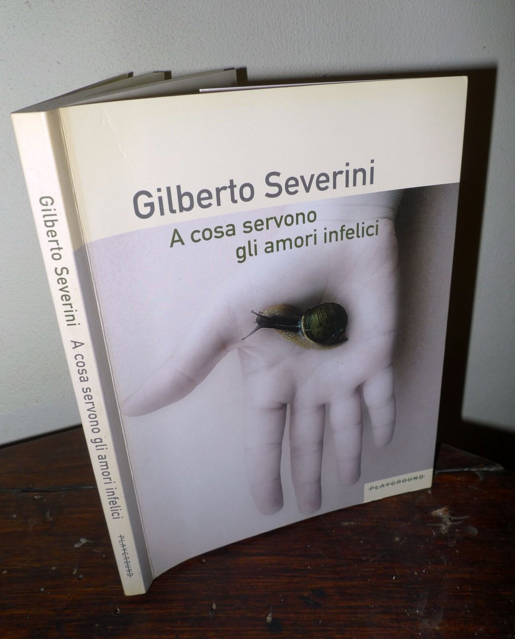 Gilberto Severini,A COSA SERVONO GLI AMORI INFELICI,2010 Playground