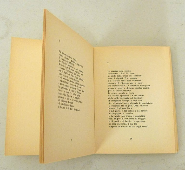 Gino Gerola,LA VALLE,1983 Questotrentino[poesia,ristampa anastatica,Trentino