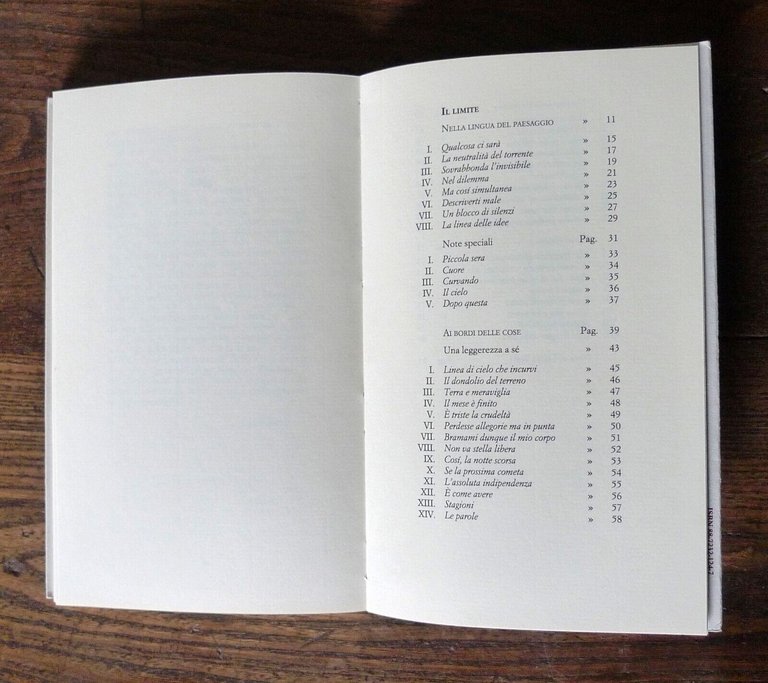 Giorgio Bonacini,IL LIMITE,1993 Book ed.[POESIA,nota Lucio Vetri