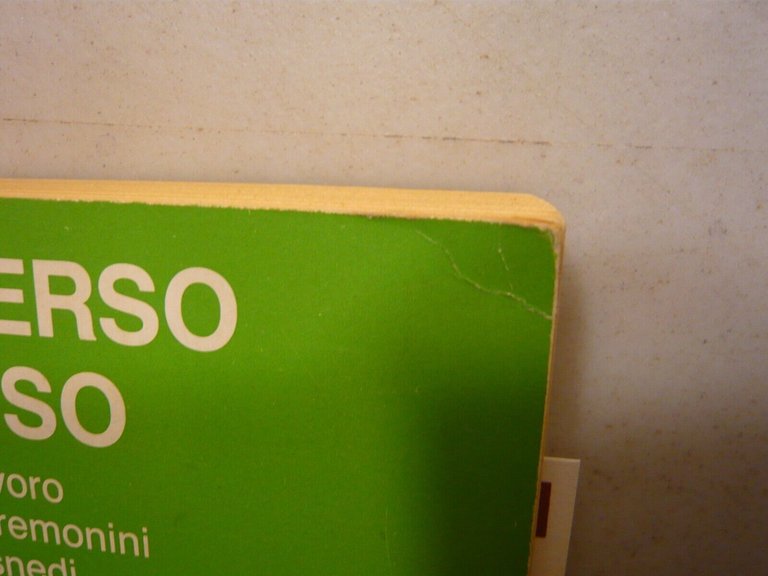 Giorgio Cremonini e Fabrizio Frasnedi,NELL’UNIVERSO DEL SENSO,Il Mulino 1986