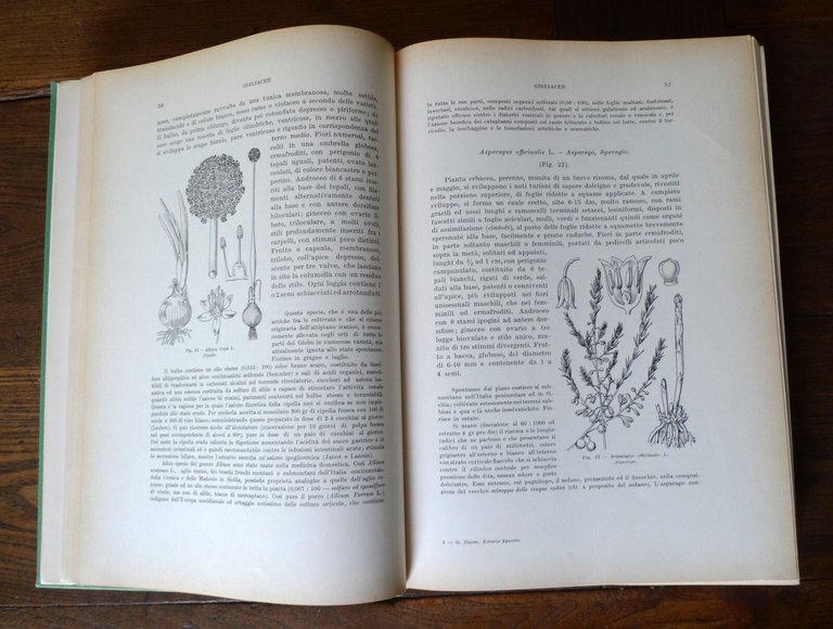 Giovanni Negri,ERBARIO FIGURATO,1960 Hoepli[botanica,piante medicinali