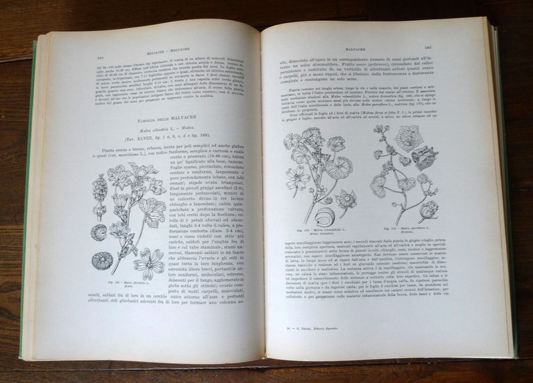 Giovanni Negri,ERBARIO FIGURATO,1960 Hoepli[botanica,piante medicinali