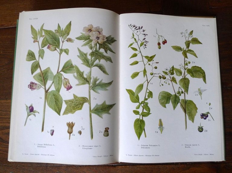 Giovanni Negri,ERBARIO FIGURATO,1960 Hoepli[botanica,piante medicinali