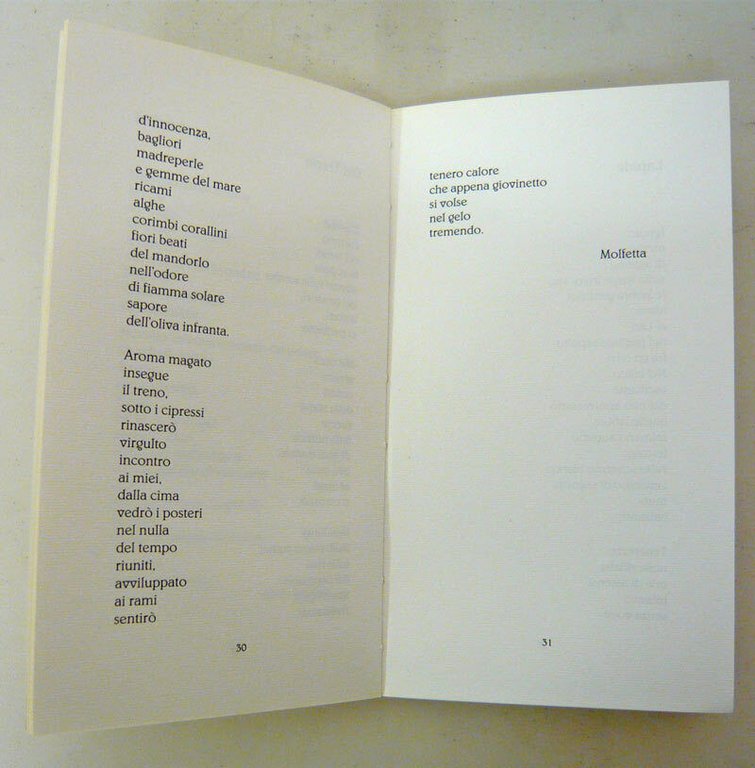Girolamo Nisio,BELVOIR,2006 Mezzina,Molfetta[poesia