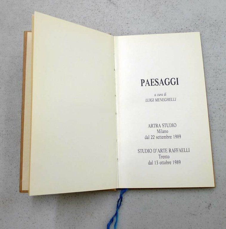 Giuseppe Debiasi,PAESAGGI.Catalogo della mostra,1989 Trento[arte,Meneghelli