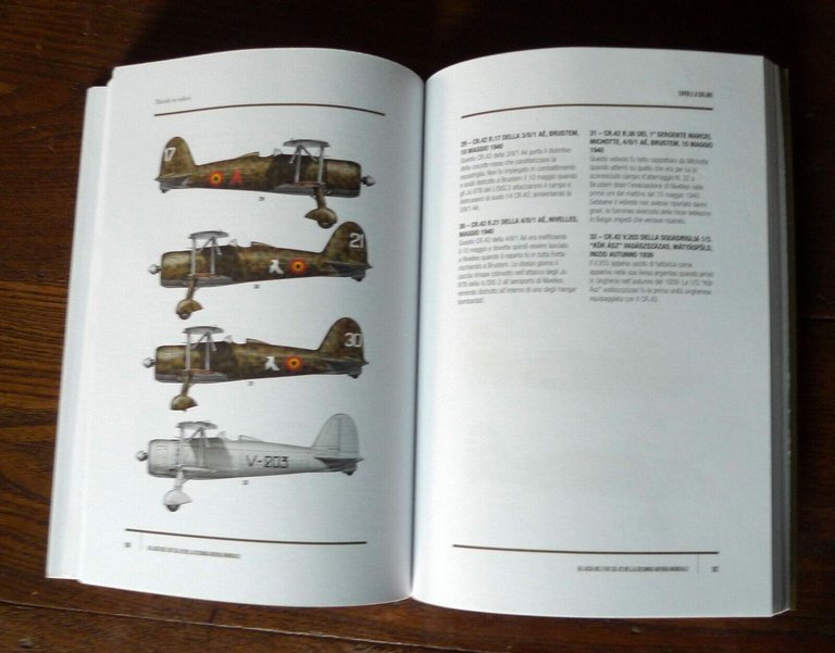 GLI ASSI DEL FIAT CR.42 DELLA SECONDA GUERRA MONDIALE,2017[storia,aviazione