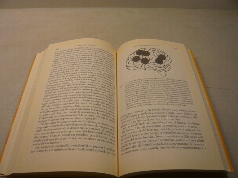 Goldberg,L’ANIMA DEL CERVELLO Lobi frontali, mente e civiltà,2004[Oliver Sacks
