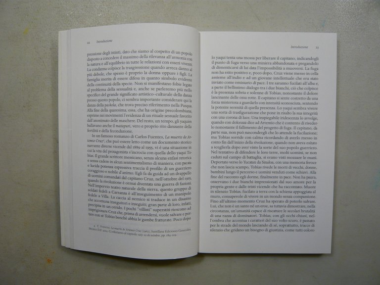 Gramigna,Rosa,IL MONDO DEGLI INCANTI,Aracne 2016[tribù Yaqui del Sonora