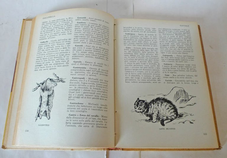Gray/Bauer,VITA E COSTUMI DEGLI ANIMALI,'49 Curcio[dizionario illustrato,Figueir
