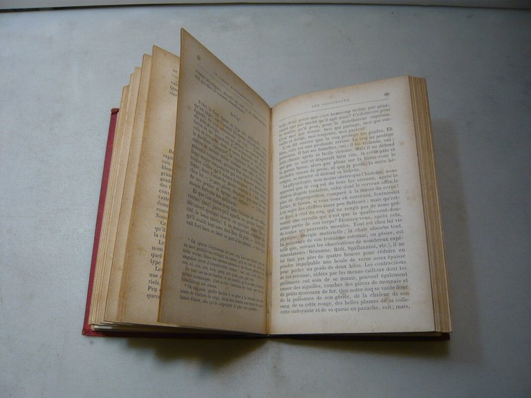 Grimard,LE JARDIN D'ACCLIMATATION,Parigi,1880ca.