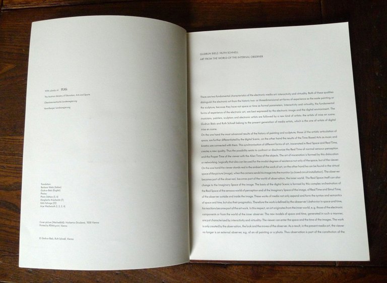 GUDRUN BIELZ RUTH SCHNELL,1990 BIENNALE DI VENEZIA APERTO[arte,media elettronici | Immagine Gallery 3