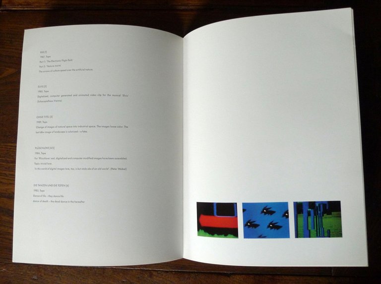 GUDRUN BIELZ RUTH SCHNELL,1990 BIENNALE DI VENEZIA APERTO[arte,media elettronici | Immagine Gallery 8