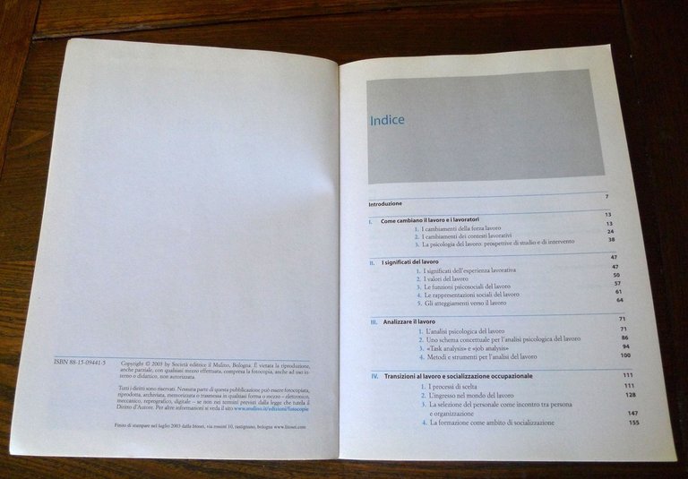 Guido Sarchielli,PSICOLOGIA DEL LAVORO,2003 il Mulino[manuale,organizzazione