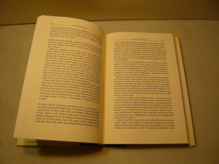 Hacker,TWO NATIONS,New York, 1992[sociologia,politica