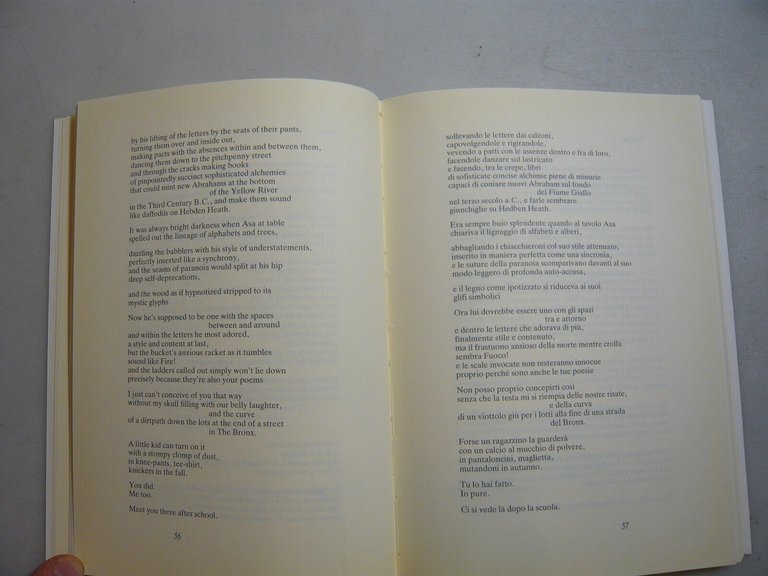 Hirschman,SOGLIA INFINITA,Salerno,1993