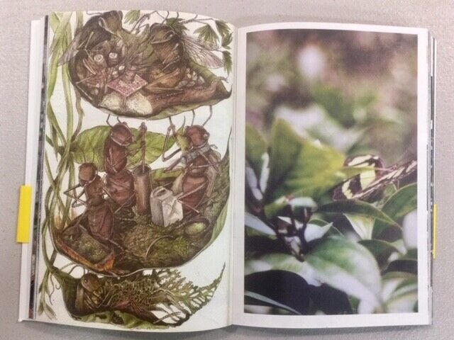 Hitnes,Bastardilla,Ericailcane,FIN QUI VE LA POSSO RACCONTARE,Modo Infoshop 2020