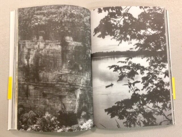 Hitnes,Bastardilla,Ericailcane,FIN QUI VE LA POSSO RACCONTARE,Modo Infoshop 2020