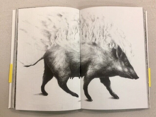 Hitnes,Bastardilla,Ericailcane,FIN QUI VE LA POSSO RACCONTARE,Modo Infoshop 2020