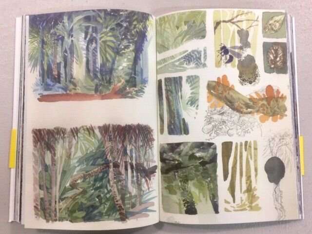 Hitnes,Bastardilla,Ericailcane,FIN QUI VE LA POSSO RACCONTARE,Modo Infoshop 2020