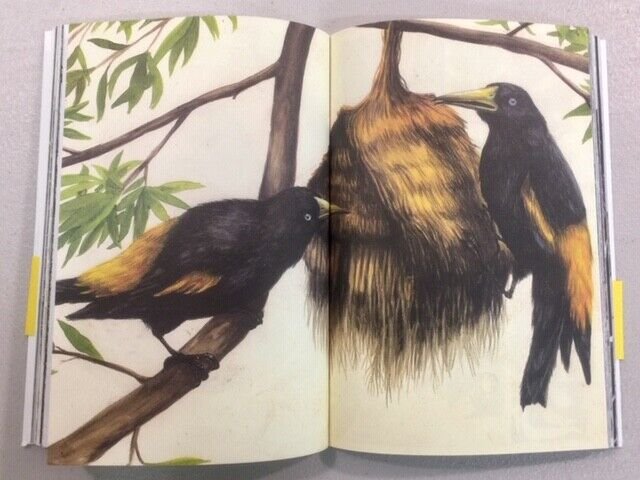 Hitnes,Bastardilla,Ericailcane,FIN QUI VE LA POSSO RACCONTARE,Modo Infoshop 2020