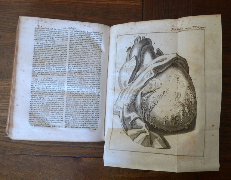 HOFFMANN,OPERUM OMNIUM PHYSICO-MEDICORUM SUPPLEMENTUM IN 13 VOL.1755-63[medicina