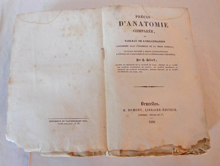 Hollard,PRÉCIS D'ANATOMIE COMPARÉE,1836 Dumont[anatomia,fisiologia,medicina