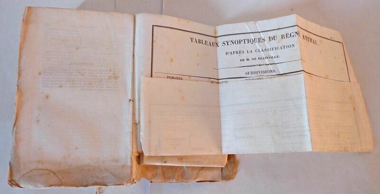 Hollard,PRÉCIS D'ANATOMIE COMPARÉE,1836 Dumont[anatomia,fisiologia,medicina