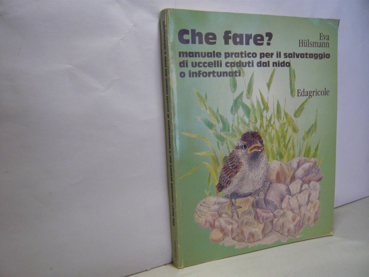 Hülsmann,CHE FARE?Manuale pratico per il salvataggio di uccelli,Edagricole 1998