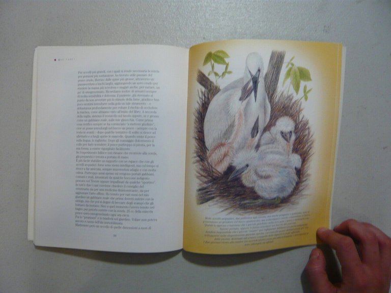 Hülsmann,CHE FARE?Manuale pratico per il salvataggio di uccelli,Edagricole 1998