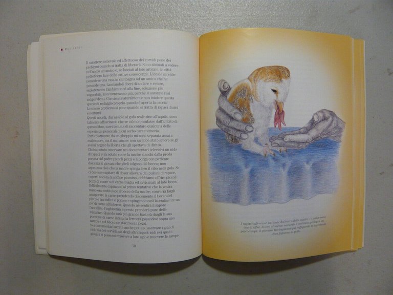 Hülsmann,CHE FARE?Manuale pratico per il salvataggio di uccelli,Edagricole 1998