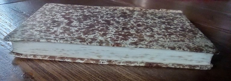 I FRAMMENTI NUOVI DI DIODORO SICOLO RICAVATI DA'PALIMPSESTI VATICANI,1847[SICULO