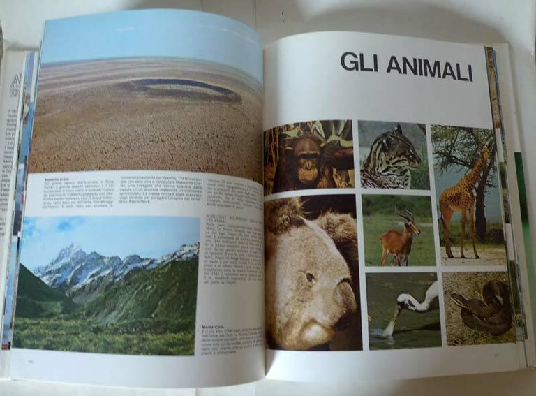 IL GRANDE ATLANTE ENCICLOPEDICO,Vallardi 1988[geografia,animali,natura