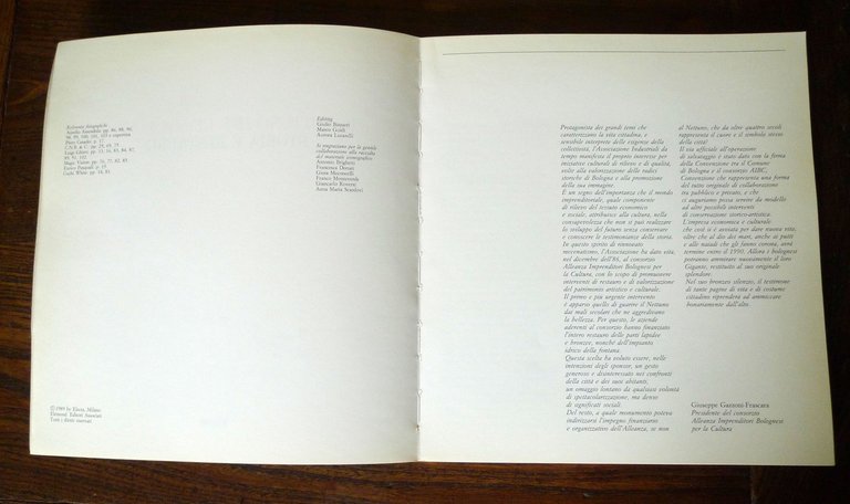 IL NETTUNO DEL GIAMBOLOGNA.STORIA E RESTAURO,1989 Electa[storia arte,Bologna