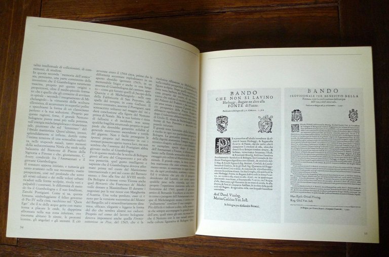 IL NETTUNO DEL GIAMBOLOGNA.STORIA E RESTAURO,1989 Electa[storia arte,Bologna