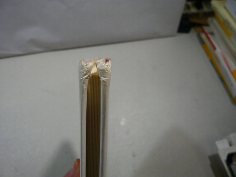 IL PRATELLO RITROVATO. Bologna. Rinascita di una strada, 1994