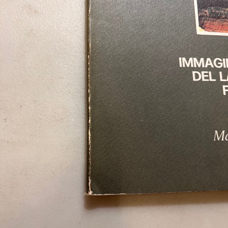 IMMAGINI E MATERIALI DEL LABORATORIO FORTUNY, Marsilio 1978
