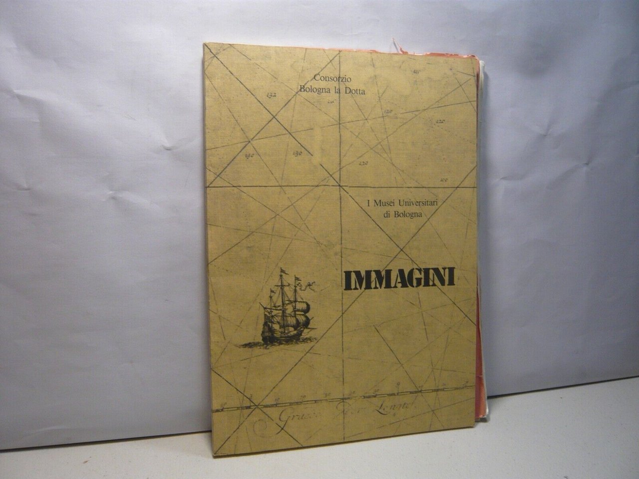 IMMAGNI.I musei universitari a Bologna, 1989[Consorzio Bologna la Dotta