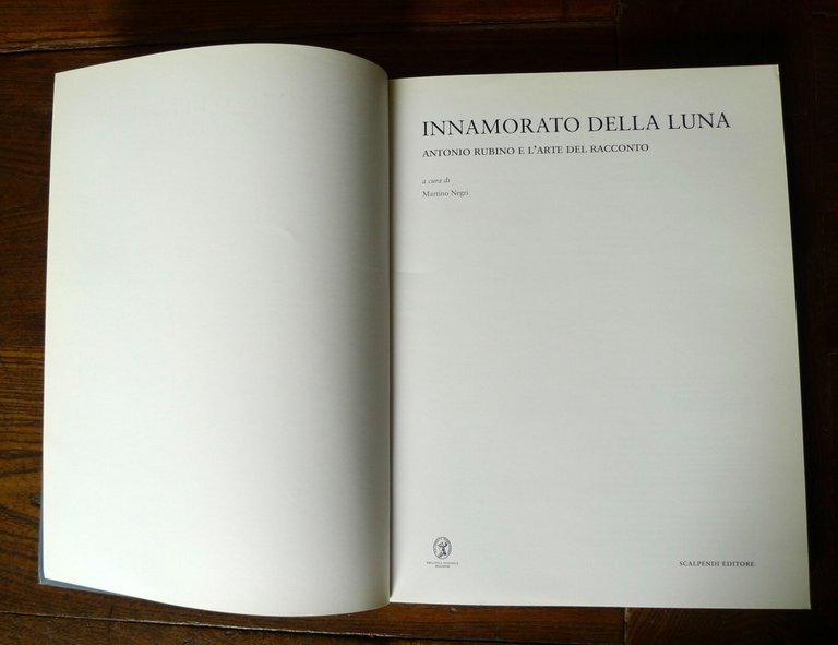INNAMORATO DELLA LUNA.ANTONIO RUBINO E L'ARTE DEL RACCONTO,2012[illustrazione | Immagine Gallery 3