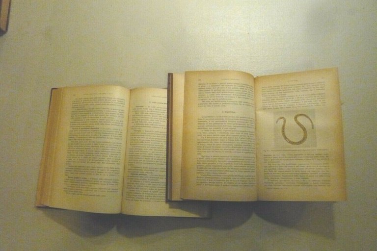 Introzzi,Baserga,Ravetta,Larizza,LE MALATTIE DELL’INTESTINO 2 VOLL, Milano 1950