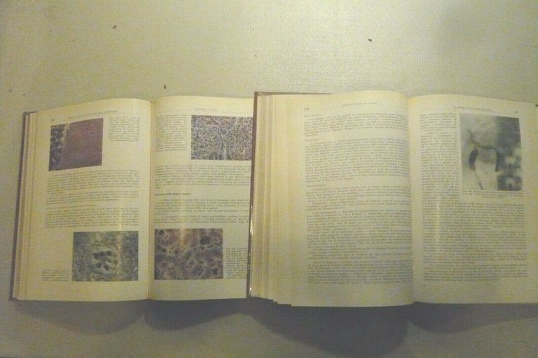 Introzzi,MALATTIE DEL FEGATO, DELLE VIE BILIARI E DEL PANCREAS,1959