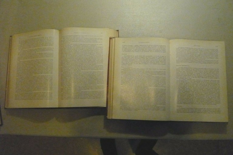 Introzzi,MALATTIE INFETTIVE E PARASSITARIE, Abruzzini 1961[MEDICINA INTERNA