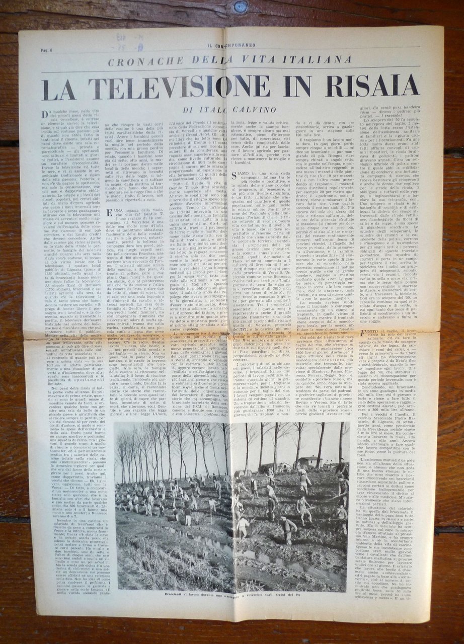 Italo Calvino,LA TELEVISIONE IN RISAIA,tratto da IL CONTEMPORANEO n.2 1954