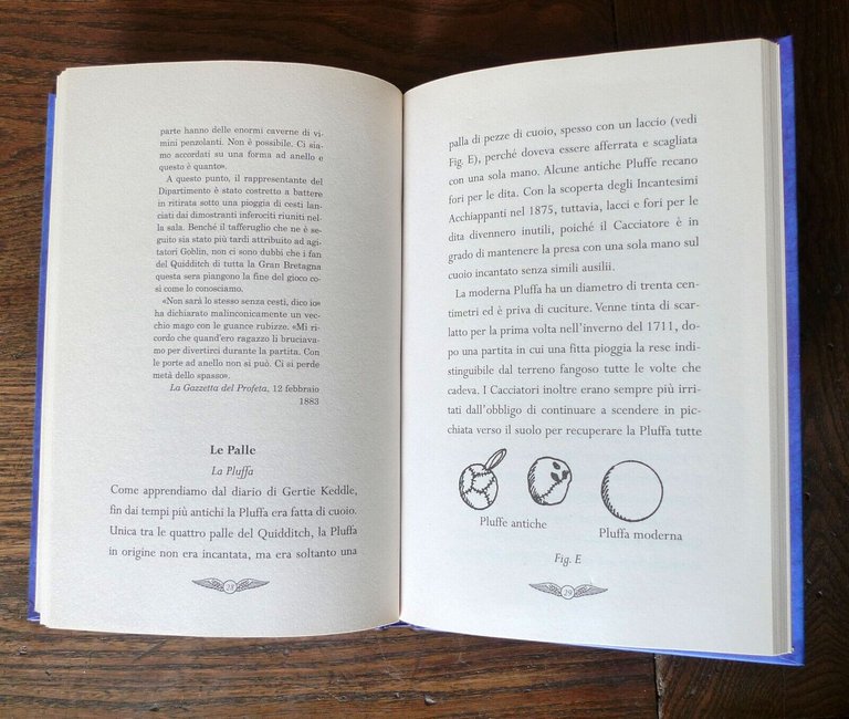 J.K.Rowling,IL QUIDDITCH ATTRAVERSO I SECOLI,2010 Salani[Harry Potter