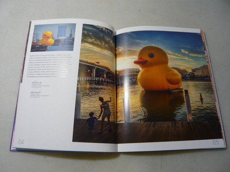 J. Molissa Spring,UNEXPECTED ART,USA,2015[catalogo