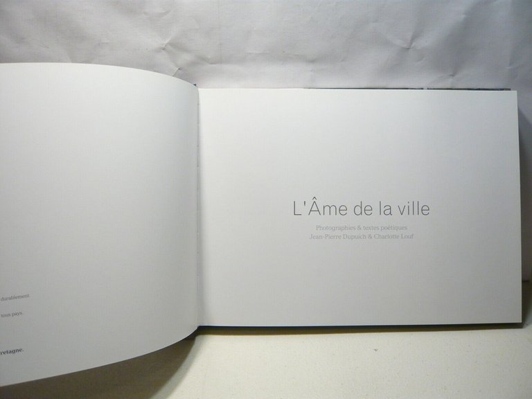 Jean-Pierre Dupuich,Charlotte Louf,L’AME DE LA VILLE,2013[street art, fotografia