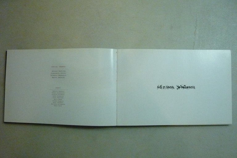 Jebeleanu, IL CAMMINO DELL'OMBRA,2010