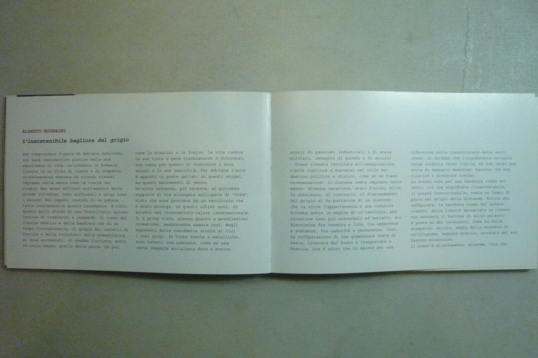 Jebeleanu, IL CAMMINO DELL'OMBRA,2010