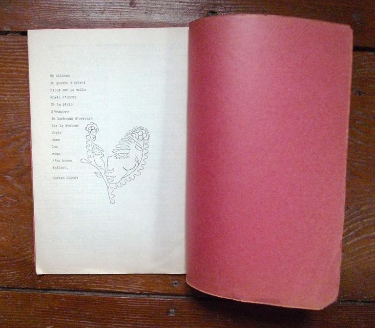 L'ECCHYMOSE.ARTS-INFORMATION.N.13 197x.SPÉCIAL-DOSSIER MARKUS LEICHT[poesia