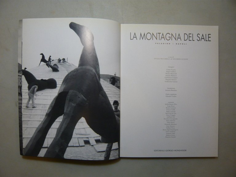 LA MONTAGNA DEL SALE.Paladino a Napoli,Mondadori, Milano, 1996
